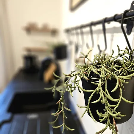 דירה Wieapart - Ruhig Im Gruenen, Parkplatz, Zw. Dus/cgn לברקוסן