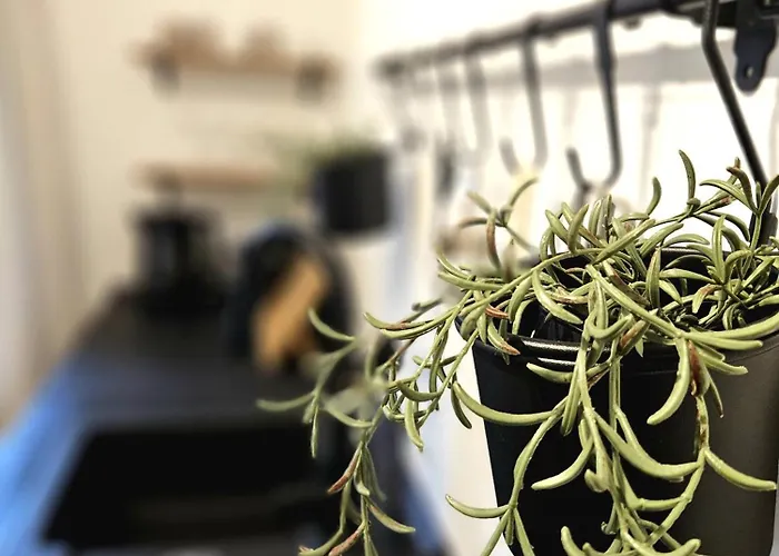 Lejlighed Wieapart - Ruhig Im Gruenen, Parkplatz, Zw. Dus/cgn Leverkusen